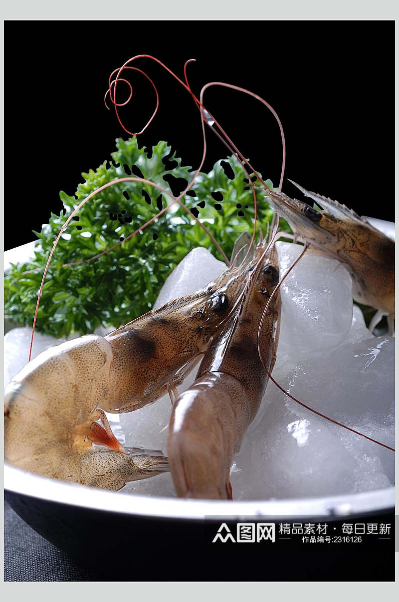精品海鲜基围虾食物图片素材