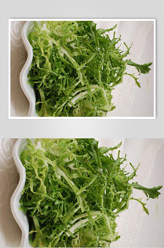 新鲜私房苦菊菜餐饮食品图片