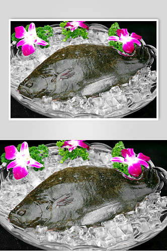 冰镇美食左口鱼图片