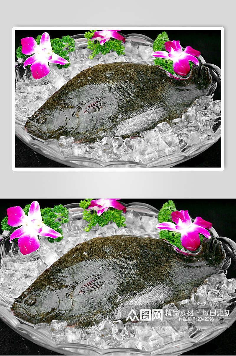 冰镇美食左口鱼图片素材