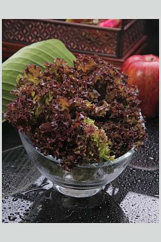 新鲜紫生菜食品摄影图片