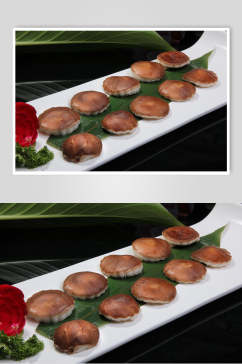 野生鲜香菇食物摄影图片