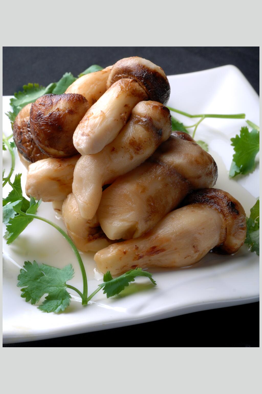 野生菌松茸食物摄影图片素材