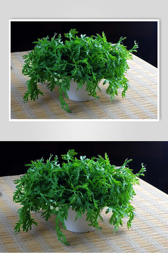 蔬菜茼蒿菜食品高清图片