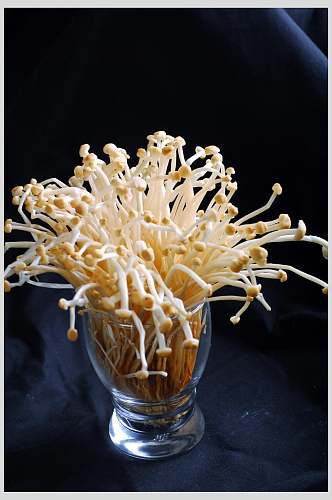 新鲜素金针菇食品摄影图片