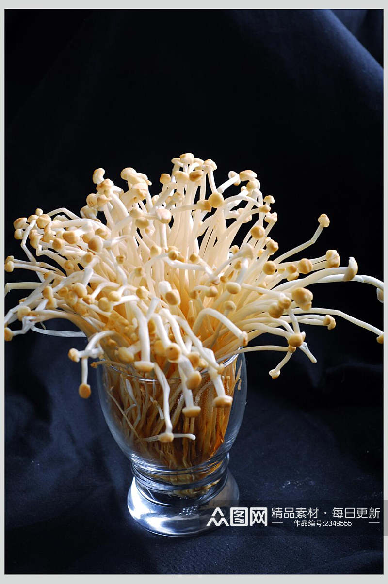 新鲜素金针菇食品摄影图片素材