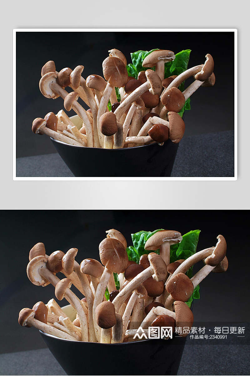 精选菌类茶树菇食物图片素材