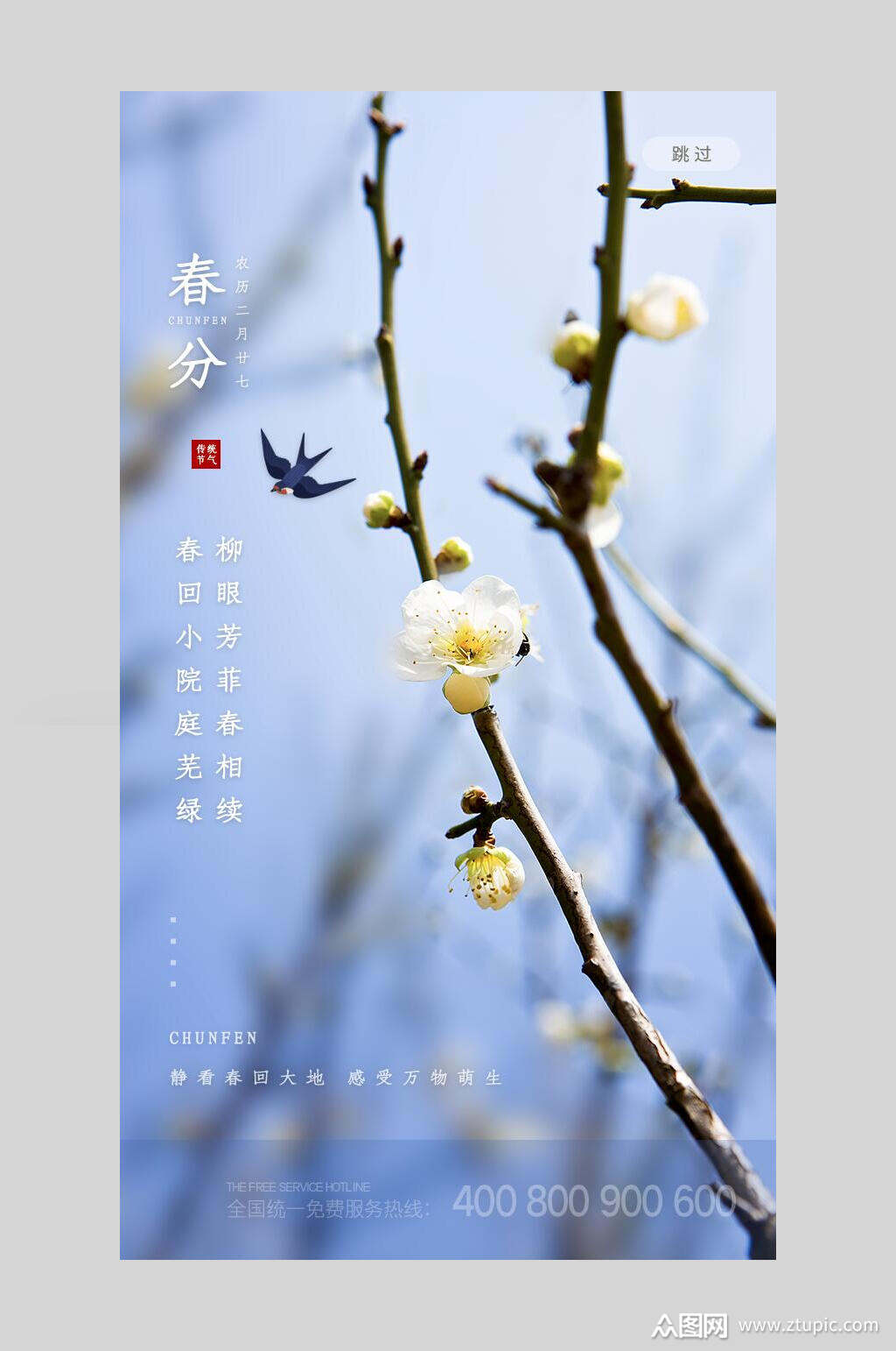 清新燕子花朵春分海报素材