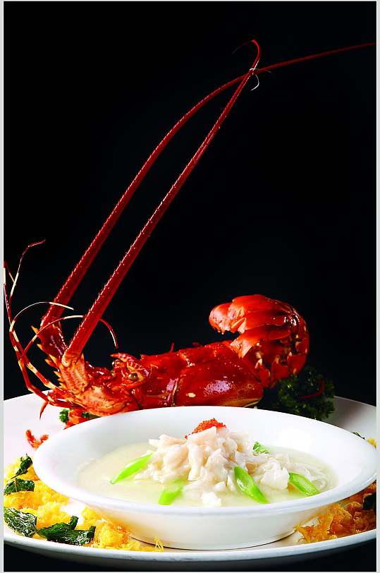 精选白雪藏龙食品图片