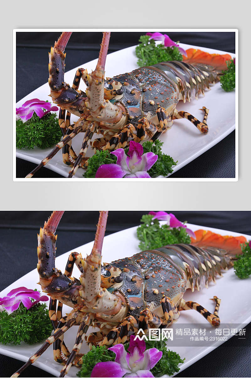 刺身深海龙虾刺身食品高清图片素材
