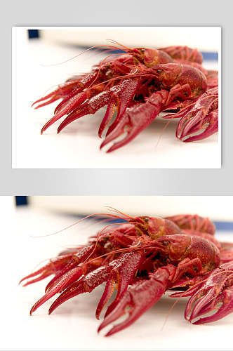 精品龙虾食物高清图片