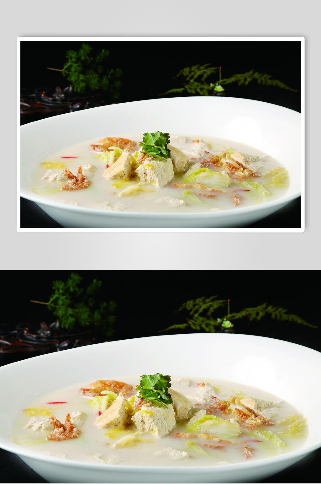 烂糊白菜豆腐图片素材