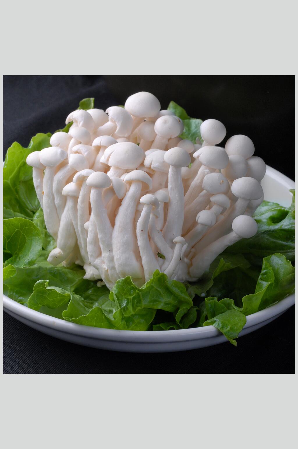 菌白玉菇食品图片素材