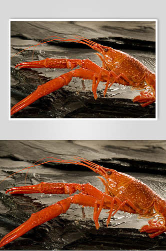 精品海鲜龙虾图片