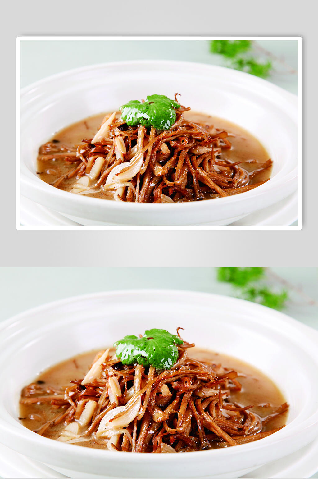 石锅茶树菇食品高清图片素材