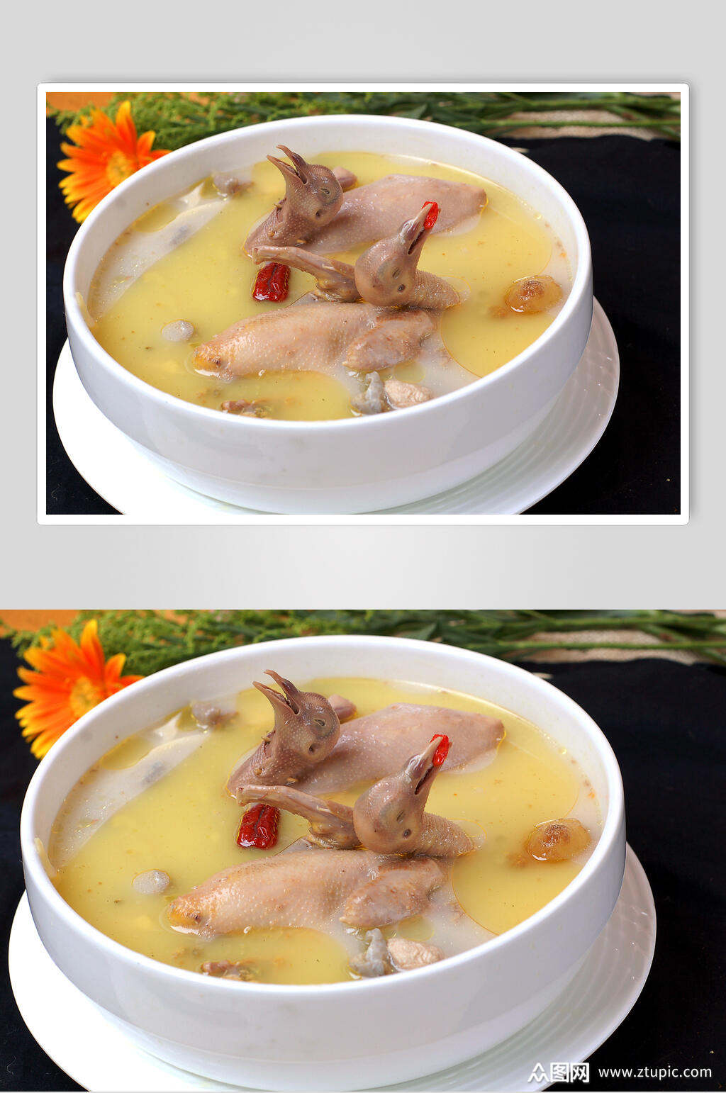 汤清炖乳鸽摄影图片