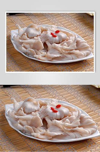 素平菇食品摄影图片
