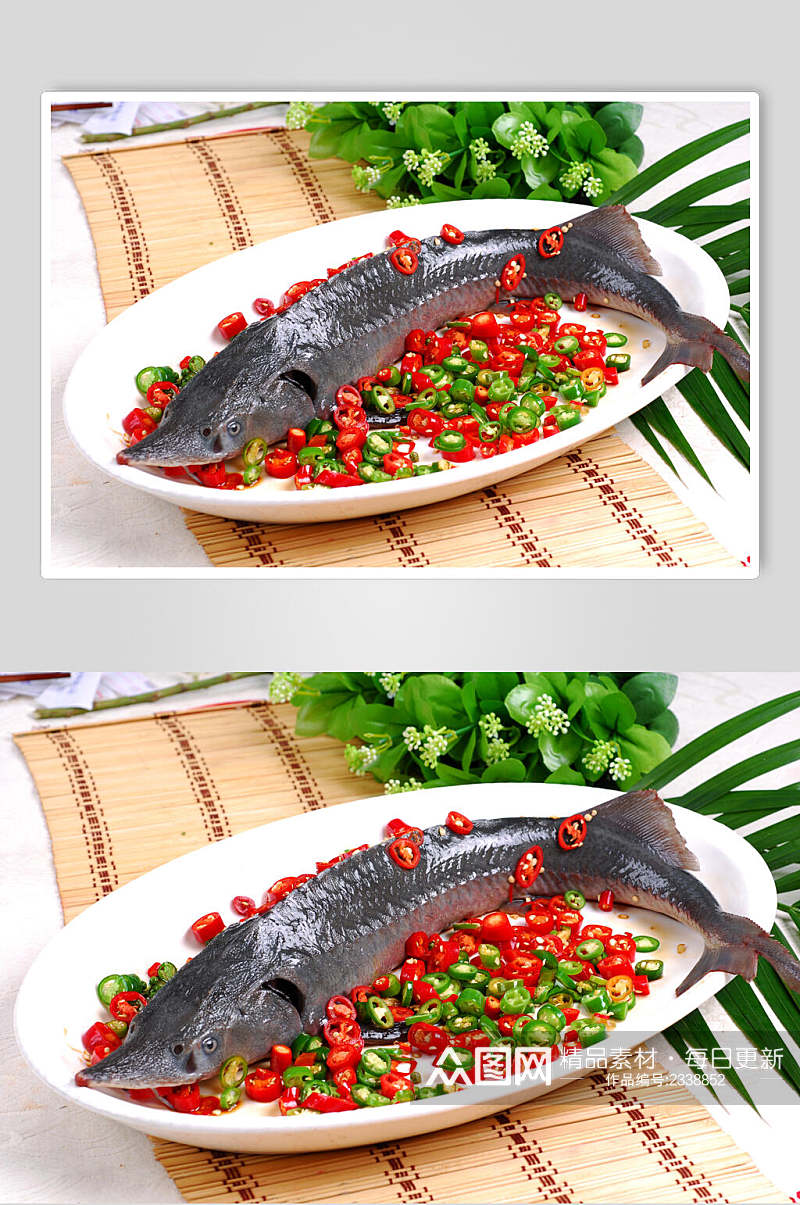 鲜椒鲟龙鱼图片素材