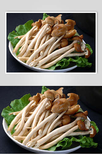 特色菌茶树菇食物图片