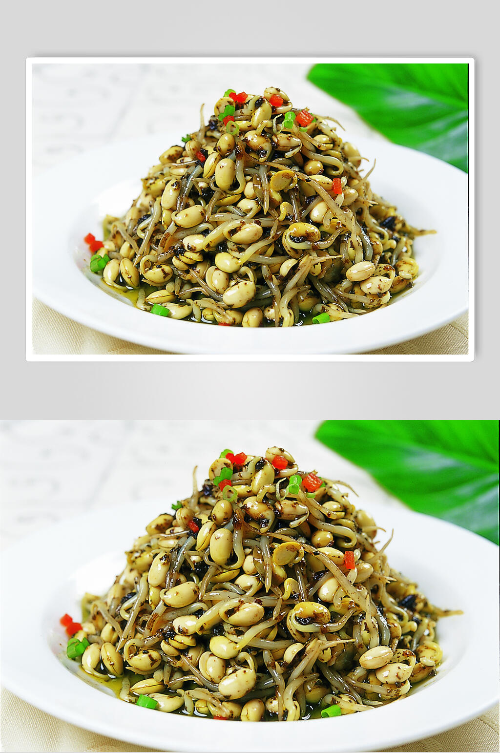 橄菜小豆芽食物高清图片素材