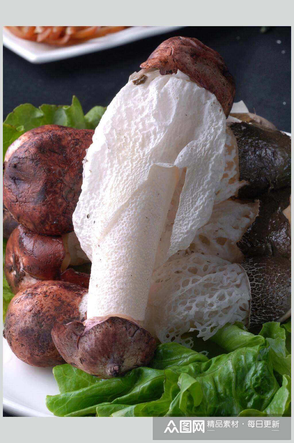 鲜菌竹荪食物图片素材