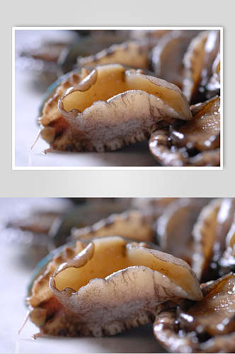 新鲜鲜鲍鱼餐饮高清图片