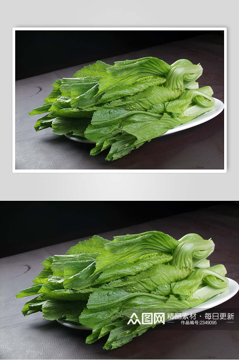 时蔬芥菜食品高清图片素材