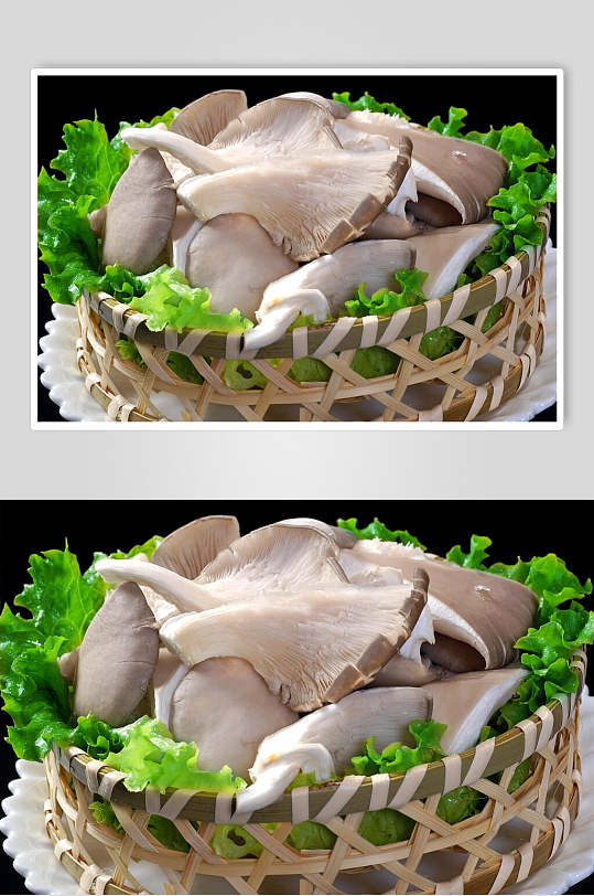 新鲜平菇食物高清图片