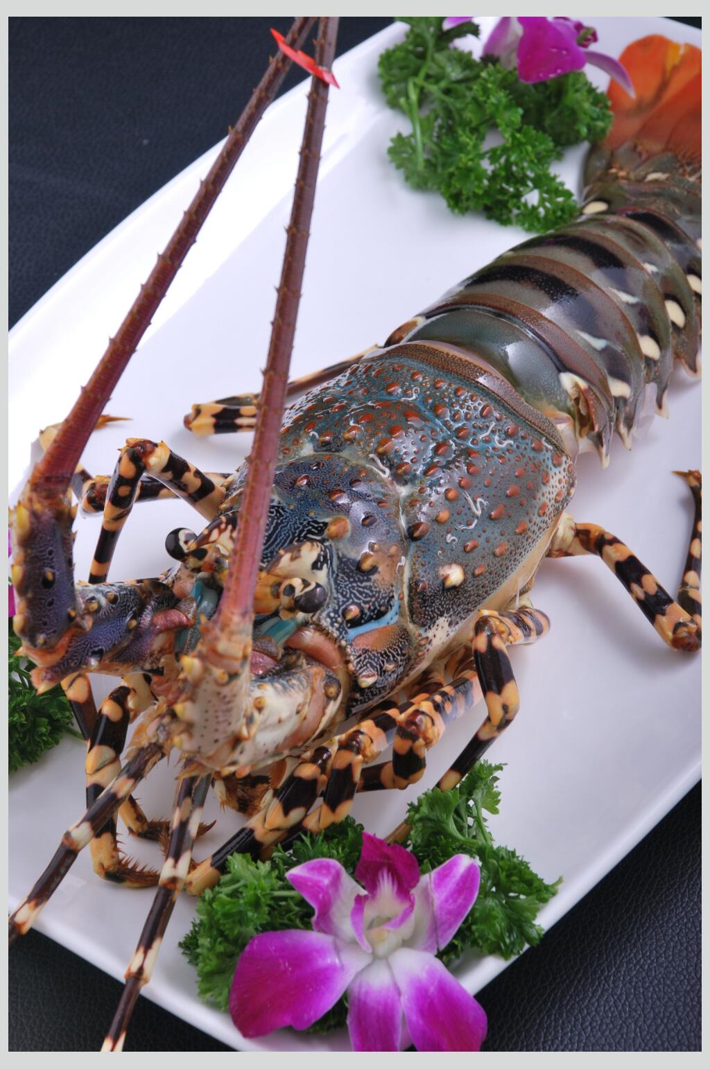 深海龙虾刺身食物摄影图片素材
