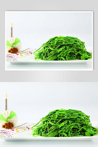 招牌绿色生态丝瓜尖食品图片