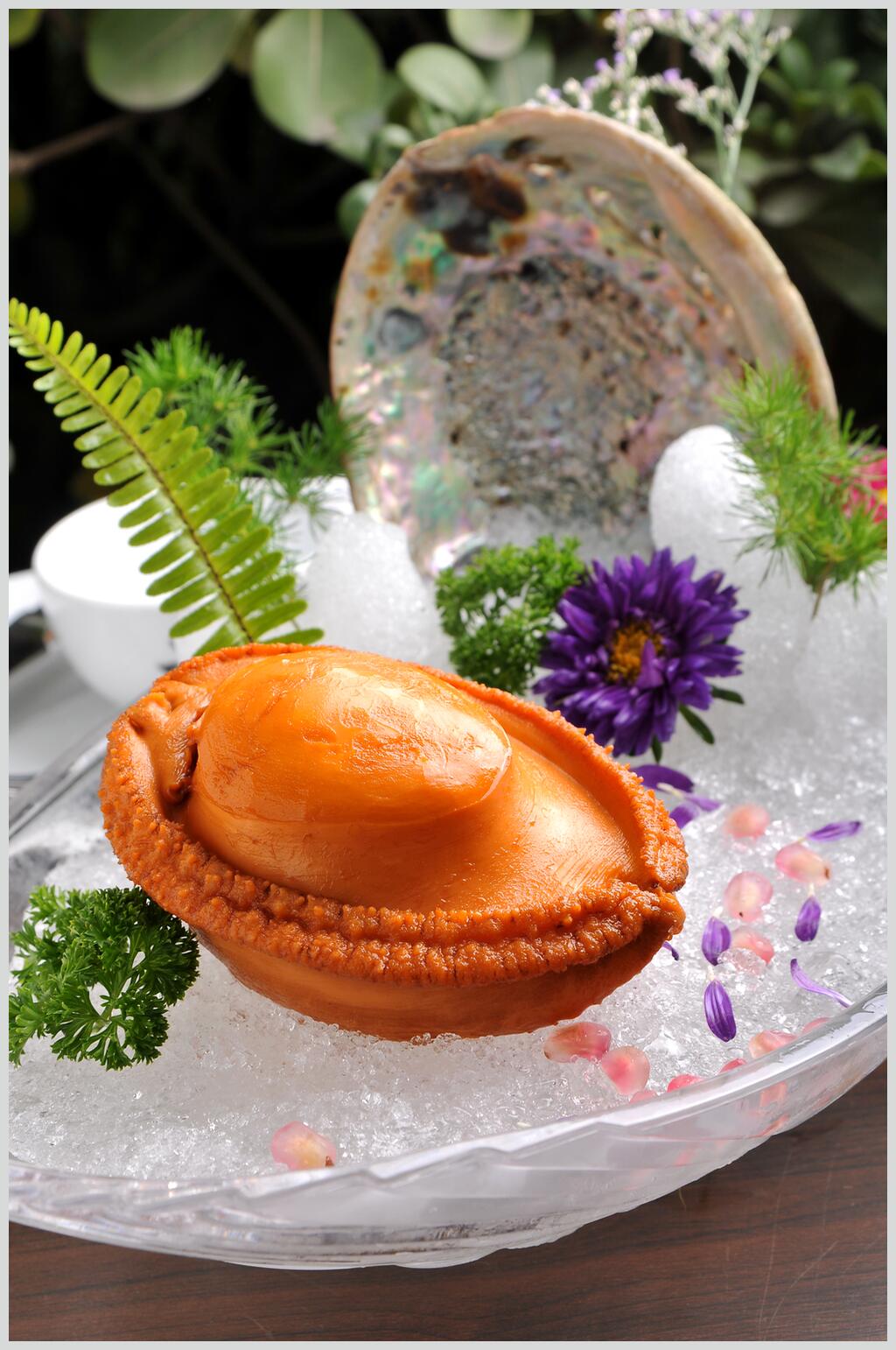 精品特色海鲜刺身拼盘食物图片素材