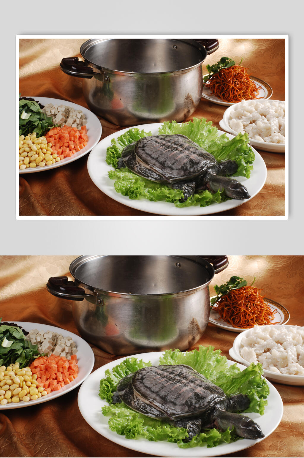 甲鱼老食物摄影图片素材