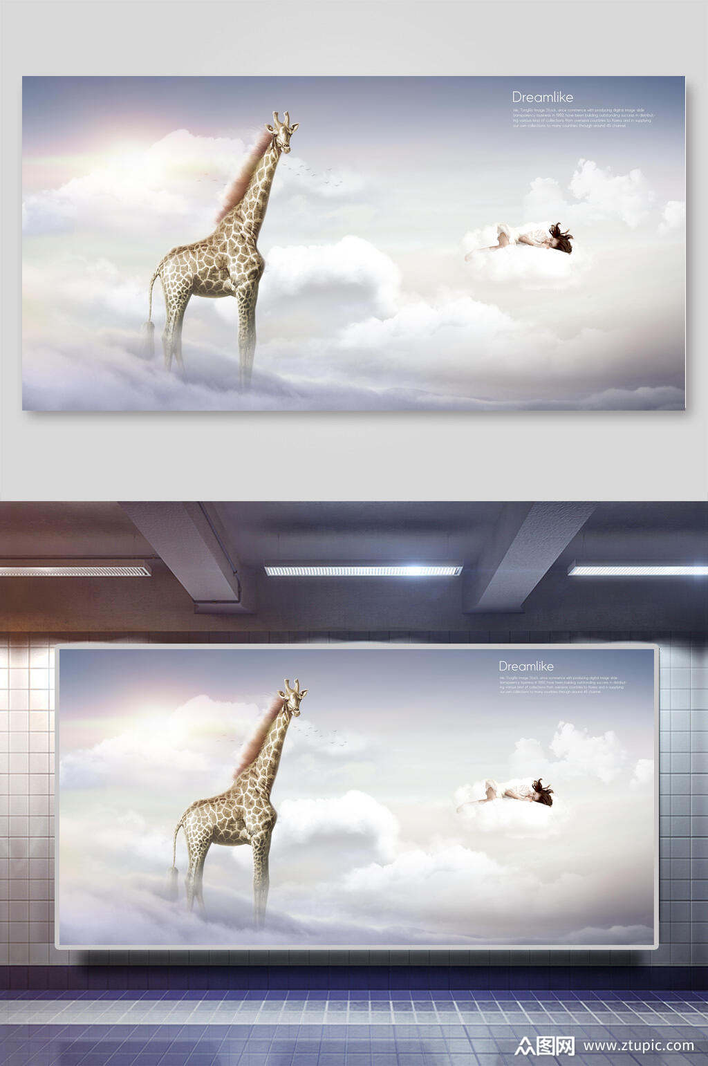 长颈鹿动物创意合成背景素材展板素材