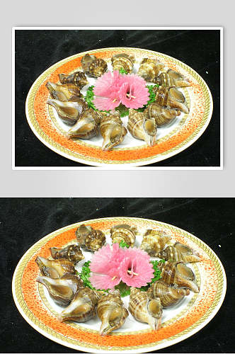 小海螺食品图片