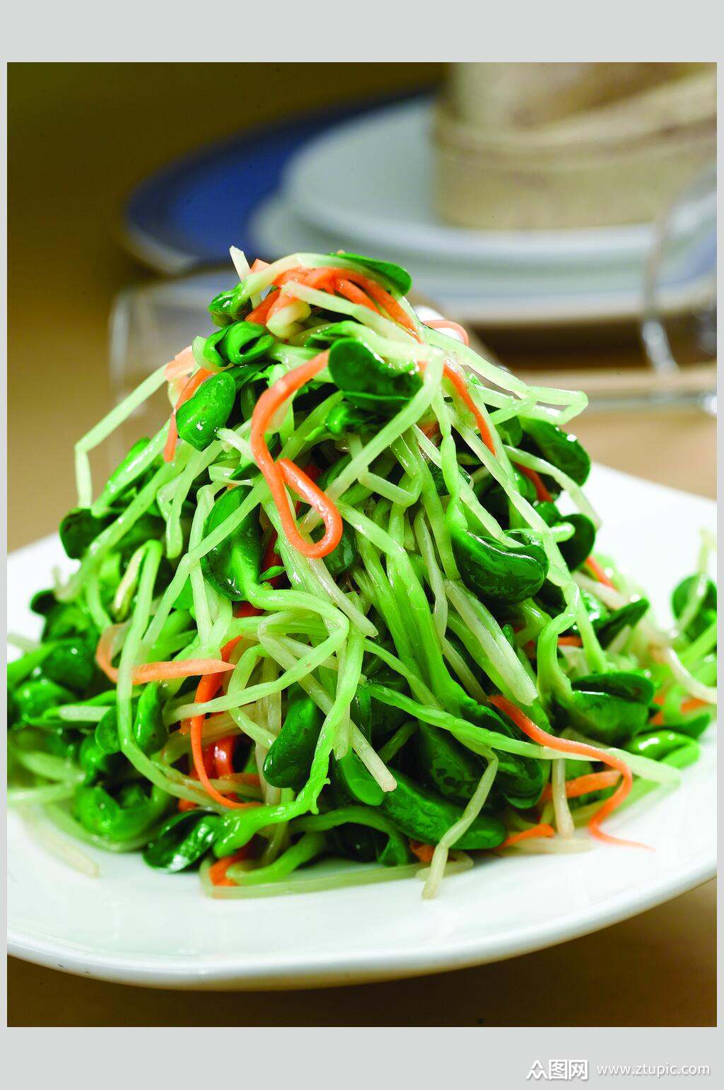 炝拌豆苗餐饮食物图片