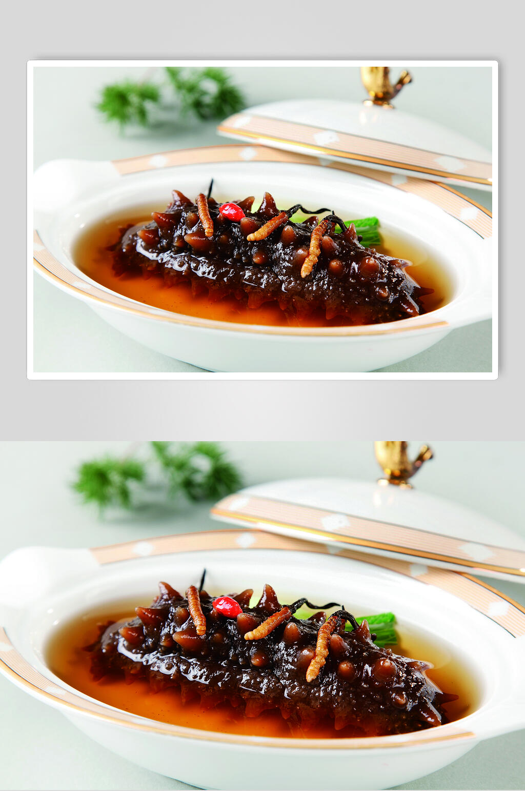 虫草辽参食物图片素材