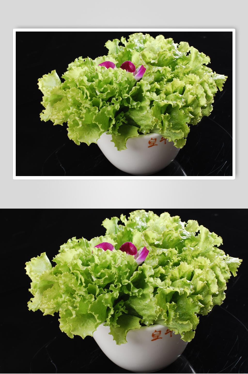 叶生菜食品摄影图片素材