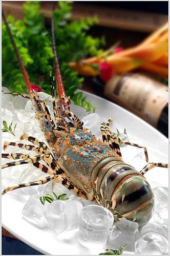 澳洲龙虾食品高清图片