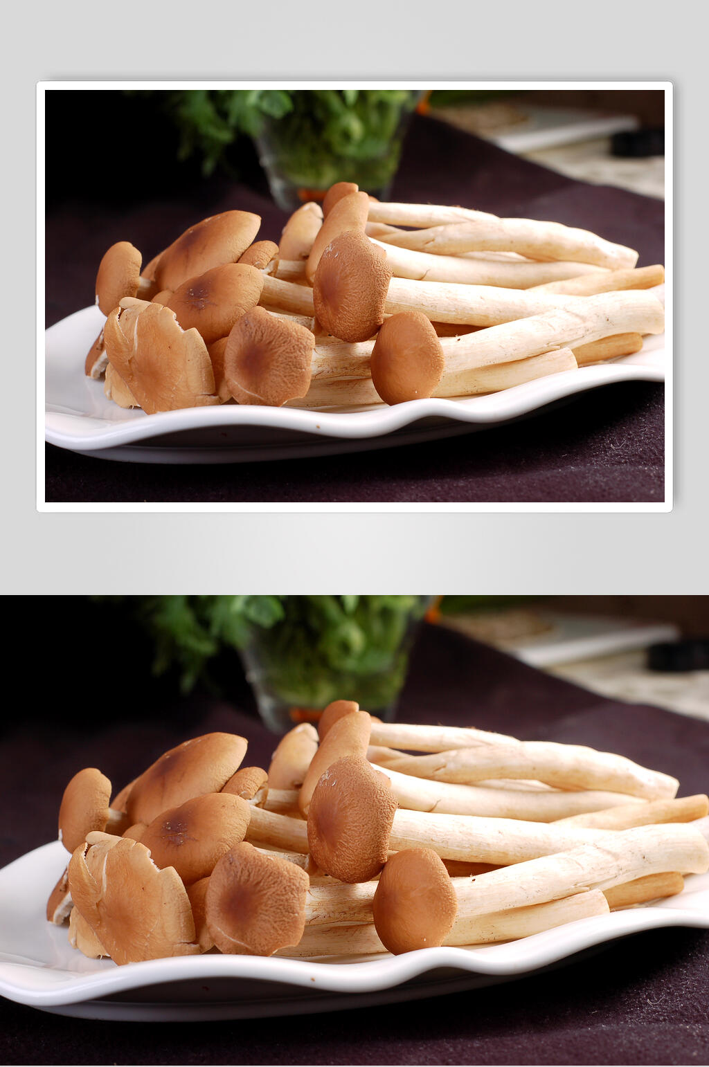 鲜香茶树菇食物摄影图片素材