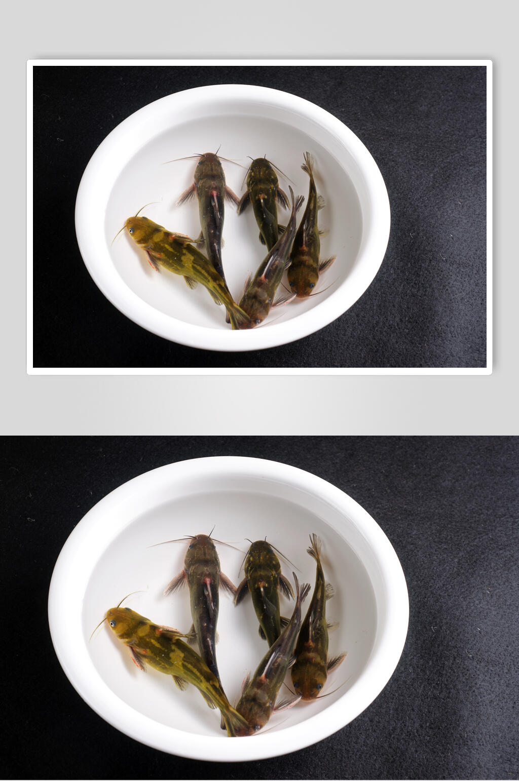 新鲜河鲜江黄图片素材