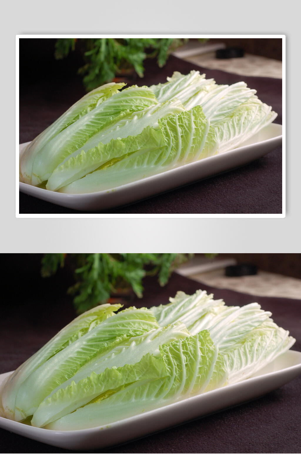 新鲜白菜食品高清图片素材
