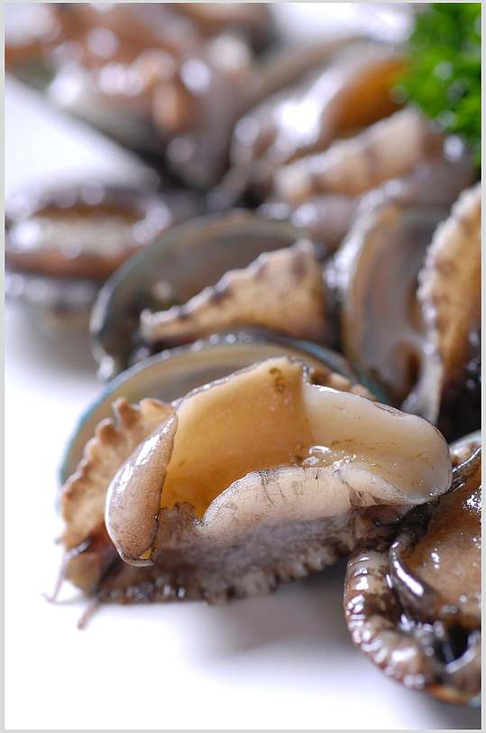 精品新鲜鲜鲍鱼图片