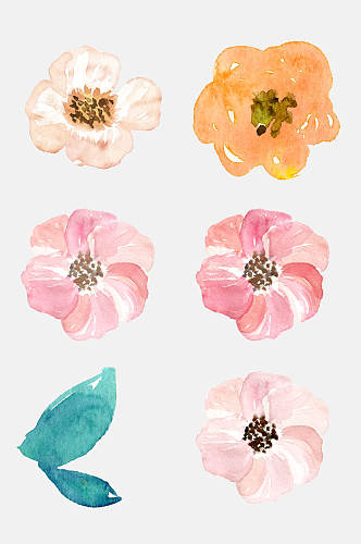 森系手绘水彩花朵花卉免抠元素