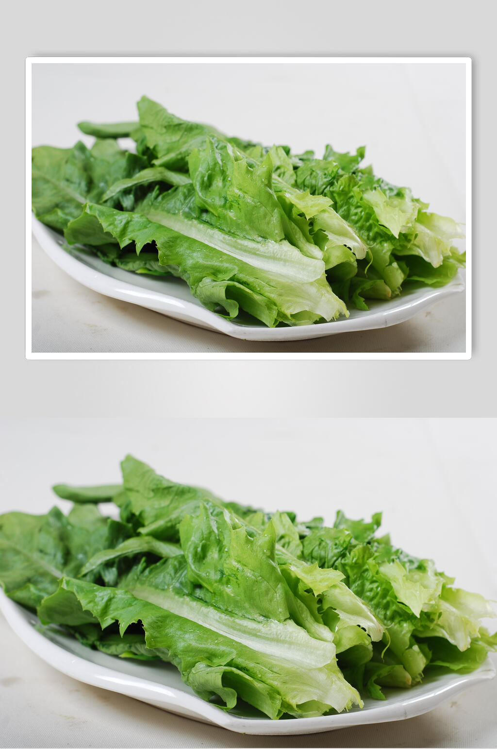 美味油麦菜食品高清图片素材
