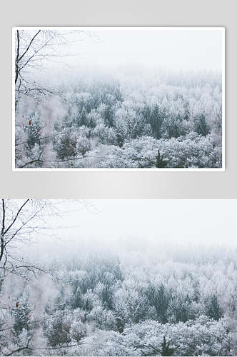 雾凇户外风景高清图片
