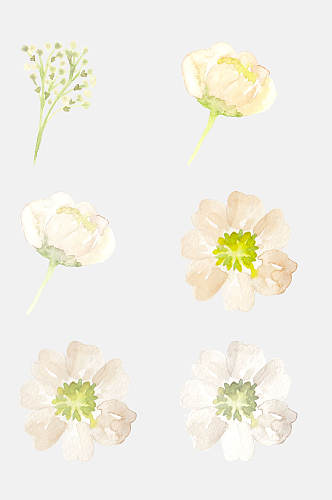 清新森系手绘水彩花卉花朵免抠元素