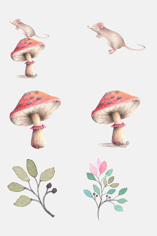 小清新手绘动植物蘑菇免抠元素