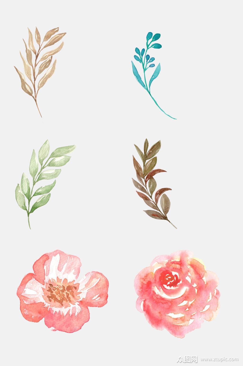 森系手绘水彩花朵植物免抠元素