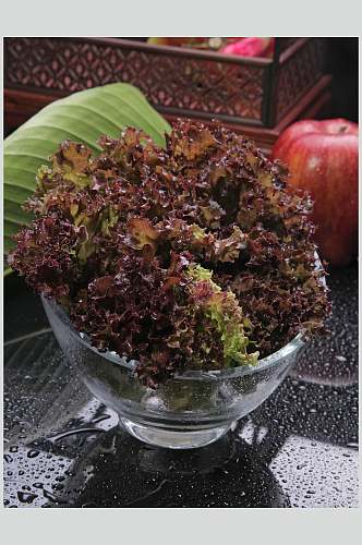 紫生菜美食高清图片