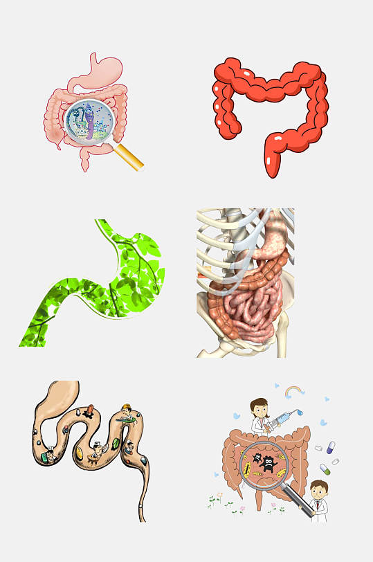 医学肠道消化系统免抠素材
